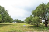Empty lot for custom home in Weatherford Texas